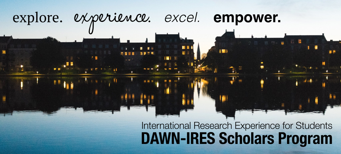 DAWN-IRES Scholars Blog