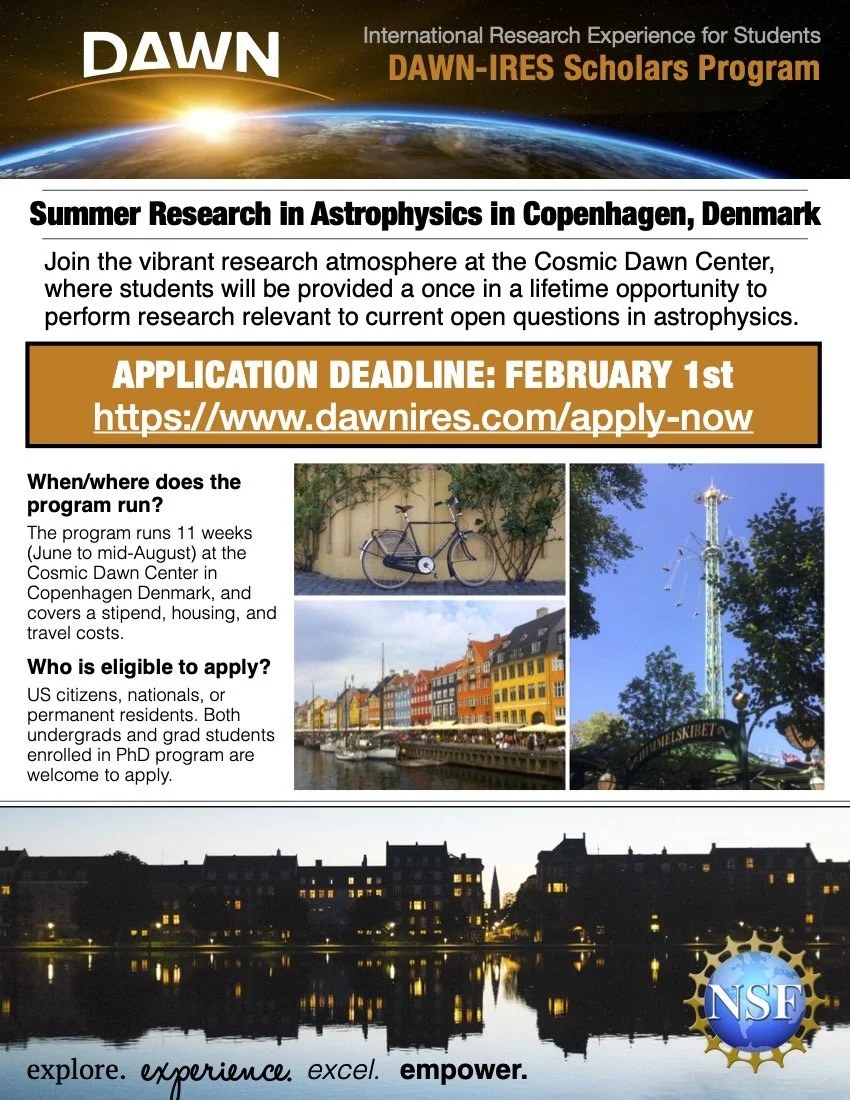 DAWN-IRES Scholars Program advertisement flyer