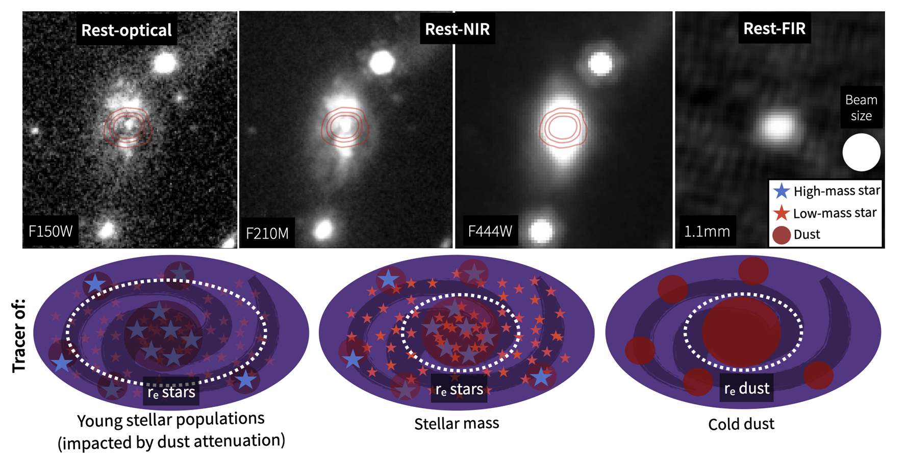 Bodansky et al. 2025 figure